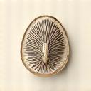 Abalone Home Logo
